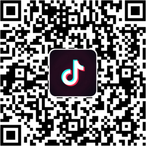 抖音小程序